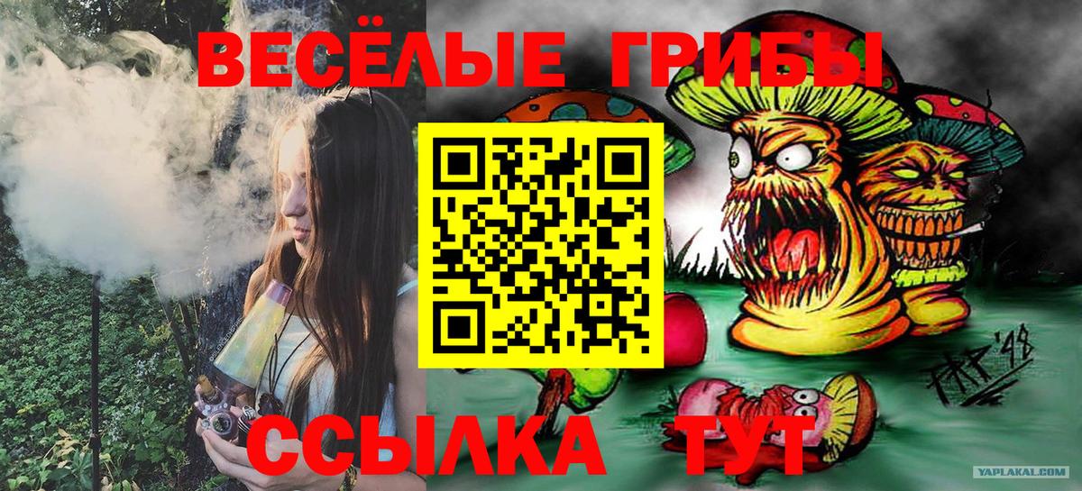 дарнет шоп  Вход с VPN  Туймазы  Галлюциногенные грибы MAGIC MUSHROOMS  Галлюциногенные грибы Cubensis 